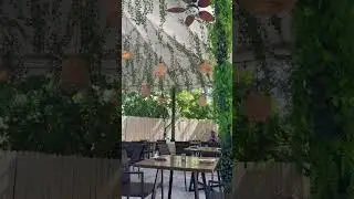📍 Oasis Restaurant [ Nassau, Bahamas 🇧🇸]