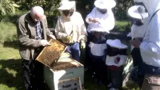 Honungens Dag 2010