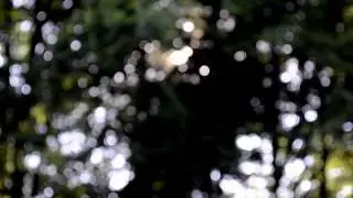 Feel the Light- Piano version