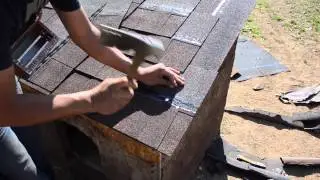 Como remodelar la casa de tu perrito