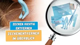Zecke richtig entfernen - Zeckenentferner im Überblick | BluePet
