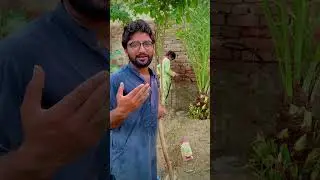 3 Trillion Trees🌳Mission A Journey of Hope and Green Future #3TrillionTrees #GreenFuture #mrshapla
