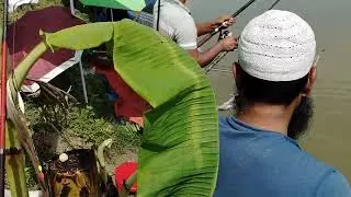 *How to Keep Your Fish Fresh After Catching*