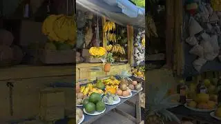 Taste the Tropics: Portland, Jamaica&rsquo;s Juicy Gems| Explosive Flavaz #caribbean #jamaica #fruits
