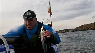 &iexcl;&iexcl;&iexcl;&iexcl;LISTADO!!! pescado desde kayak a Curric&aacute;n. Pescando con Rubo en COMO SE PESCA.
