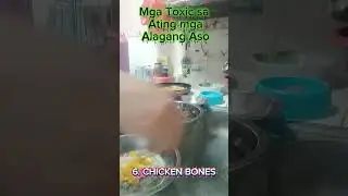 toxic Foods sa Aso #highlights #dogloversdog #pets #petlover #toxicfoodsfordogs