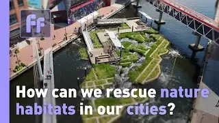 Full Frame URBAN DESIGN: WETLANDS IN BALTIMORE