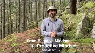 Proactive vs. Reactive Mindset