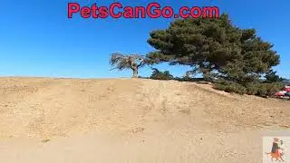 point isabel regional shoreline dog park richmond ca video preview