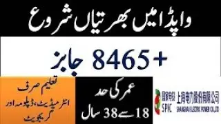 Sepco Jobs 2022 - Latest 8465 Vacancies in Wapda - Shanghai Electric Power Company Limited Careers