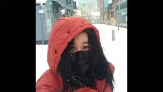 Feb. 2021 Snowing in Sunderland