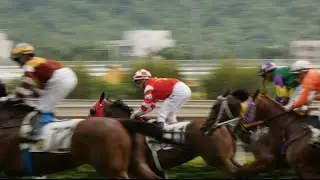 World Horse Lovers Enjoy the 55th Anniversary Sha Tin Trophy
