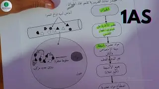 في دقائق افهم مصدر المادة الضرورية للنمو عند الحيوان |01 ثانوي ⏳🧠