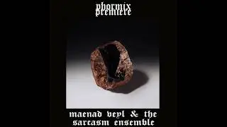 Premiere | Maenad Veyl & The Sarcasm Ensemble - Shred [VEYL026]