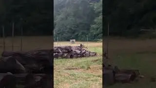 30-06 cinder block bust 100 yards