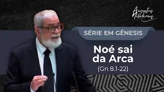 16. Noé sai da arca (Gn 8.1-22)