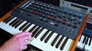 MFB Dominion 1 | Great for synth bass