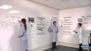 Magnetic Whiteboard Steel Wall Panels (WhiteWalls&reg;)