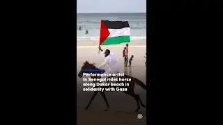 Performance artist in Senegal rides horse along Dakar beach in solidarity with Gaza