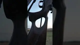 Mauser M12 im Kaliber .30-06 - Jagd auf der Insel R&uuml;gen