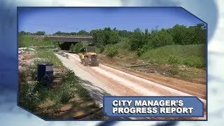 City Manager's Progress Report: July 2017