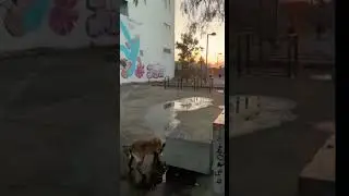 Bandita Estense Al Pendiente Vamos A Estar De Estreno Esper&oacute; Les Guste Se Viene Mucho M&aacute;s🔥 #hiphop