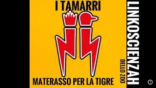 I Tamarri cercano un materasso per la loro tigre