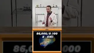 Music, Neurons, You, and Philips Hue! Professor Science Explains!