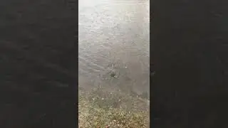 Vortex drain in street
