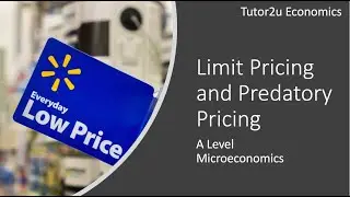 Limit Pricing and Predatory Pricing Explained I A Level and IB Economics