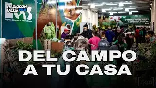 ¿Cómo CULTIVAR VERDURAS y FRUTAS de manera SALUDABLE? | JUAN PABLO DE LA VILLA en YAQPA