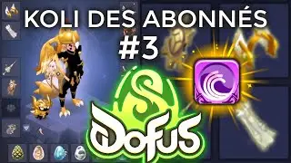 Cet HUPPERMAGE est SPECTACULAIRE sur Dofus !