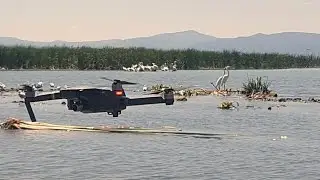 Chapala drone