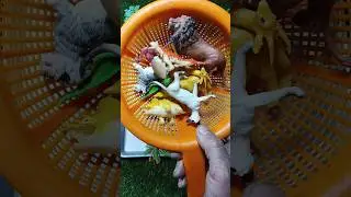 Satisfying with Unboxing Plastic Animals Toy Review #asmr #satisfying #unboxing