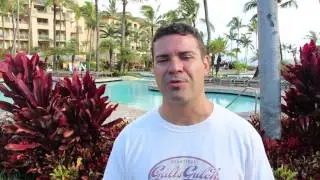 MLM Recruiting Secrets: The Personality Colors