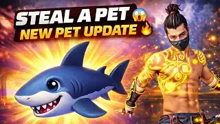 NEW SHARK PET 🦈 | BIG UPDATE & DETAILS | STEAL A PET 🔥
