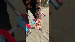 Found Hidden Treasures Using a Magnetic Rake on the Beach!