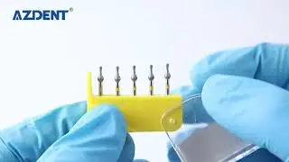 High Quality Stainless Steel Dentistry Surgical Bur Dental Diamond Burs