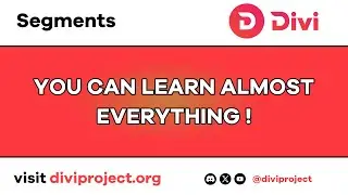 Divi Segments - You Can Learn Almost Everything!
