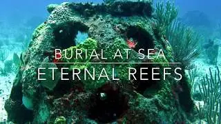 Coral Reef Memorials: Interview with CEO and Founder George Frankel