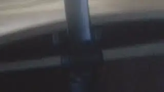 Зверь Острова оборотней