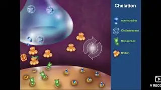 Chelation