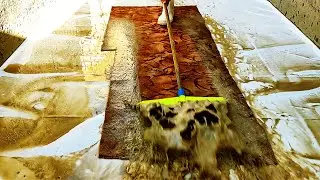 cleaning very dirty carpets with many beautiful textures | relaxing deep cleaning sound ASMR