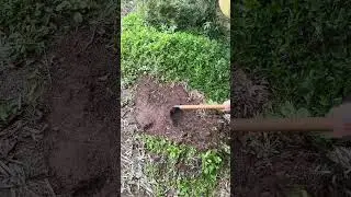 The saw blade steel weeding hoe is strong and durable#weeding artifact#farming#foot blacksmith#short