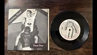 Screeching Weasel &ndash; Pervo-Devo 7