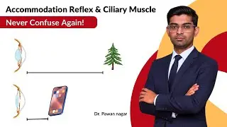 Accommodation Reflex & Ciliary Muscle | High-Yield Neuro Ophthalmology | Dr Pawan nagar