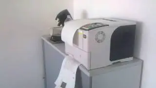 Geschickter Drucker