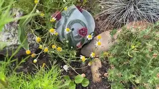 Early July Garden Tour