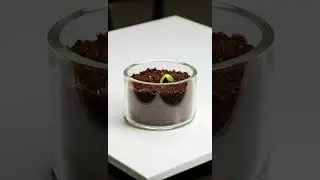 🍃Plant Growth in Real Time with Clean Visuals | Relaxing Nature Timelapse Experience #planttimelapse