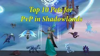 Top 10 Pets for Pet Battle PvP in Shadowlands